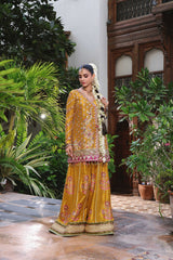 Wahaj M Khan | Nur Festive | Nur e Amber Pallazo Set