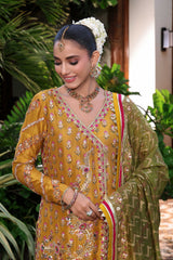 Wahaj M Khan | Nur Festive | Nur e Amber Pallazo Set