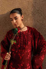 Rajbari | Winter Shawl Exclusive | Winter Shawl 04