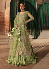 Crimson | Jhilmil Wedding Formals | MATWALI