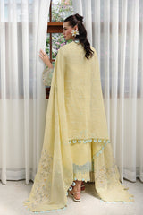 Qalamkar | Chikankari Eid Edit 26 | CM-02 AYLA