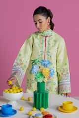 Rajbari | Amal Summer Prints | Unstitched 07