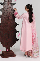 Qalamkar | Festive Lawn 26 |QFL-04 NORAH
