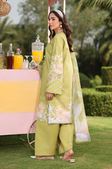 Rangrasiya | Lifestyle Summer Edit 25 | Elysia