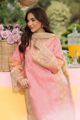 Rangrasiya | Lifestyle Summer Edit 25 | Vaneeza
