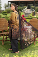 Rangrasiya | Lifestyle Summer Edit 25 | Hooria