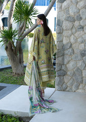 Elaf Premium | Prints Collection 26 | EPN-4A AVOCADO