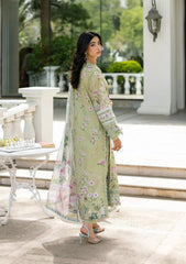 Elaf Premium | Signature Embroidered Lawn with Chiffon Collection 26 | ESG-6A JADE