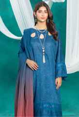 Humdum | AANGAN SS 24 | Aangan - D06
