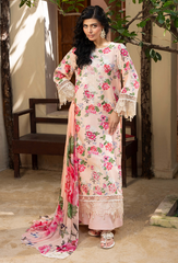 Humdum | Zaiba 25 |  D01