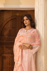 LSM | Embroidered and Printed Lawn | LG-IZ-0201