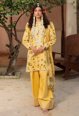 Humdum | Zaiba 25 | D03