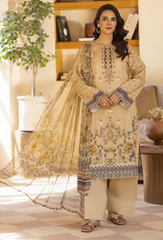 Humdum | Zarwisha 25 | Zarwisha-D10