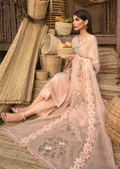 Saira Shakira | Luxury Pret | Begonia | Zayan Clothing UK