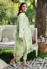 Hum Dum | Summer Breeze 25 | D02
