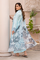 Humdum | Summer Breeze 26 | D12