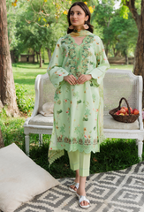 Hum Dum | Summer Breeze 25 | D02