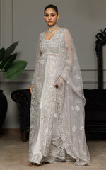 Threads and Motifs | Formal Dresses 25 | Net Embroidered Dress With Skirt And Dupatta