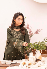 Humdum | Nayab 26 | NAYAB - D08