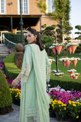 Raeesa Premium | Amani Lawn 26 | AM-005 PETALYA