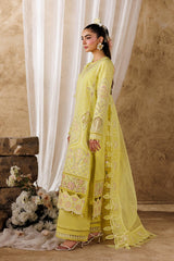 Akbar Aslam | Elea Lawn 26 | Felene