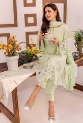 Adans Libas | Stella Chikankari 25 | 1021