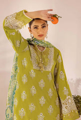 Adans Libas | Chikankari 25 | 4776