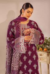 Adans Libas | Chikankari 25 | 4779