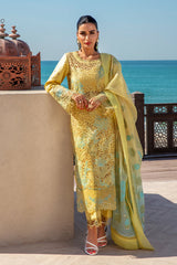 Rangrasiya | Premium Summer Lawn 25 | Minal