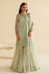 Naqshi | Feemora Organza Raw Silk | Hanam