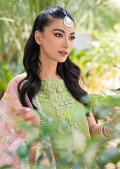 Saira Shakira | Luxury Pret | Wild Rye | Zayan Clothing UK