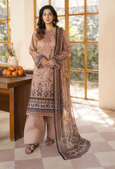 Humdum | Zarwisha 25 | Zarwisha-D08