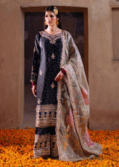Haseens | Darbar Formals | Shabrang