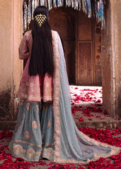 Haseens | Darbar Formals | Gulbarg