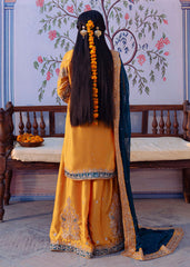 Haseens | Darbar Formals | Mehrāb