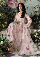 Haseens | Naira Formals | Ayna