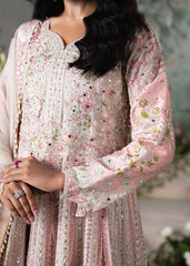 Haseens | Naira Formals | Ayna