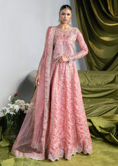 Haseens | Naira Formals | Rose