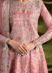 Haseens | Naira Formals | Rose