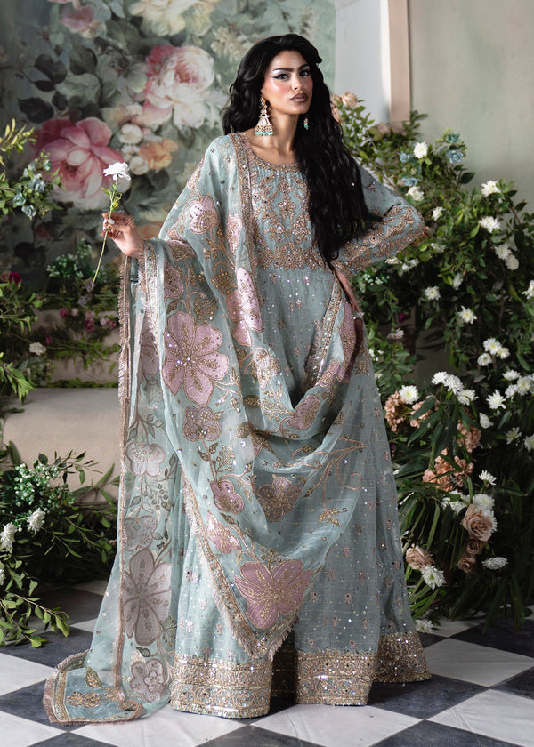 Haseens | Naira Formals | Falak