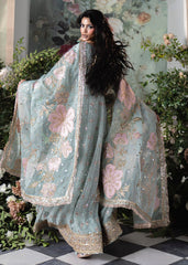 Haseens | Naira Formals | Falak