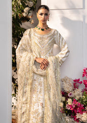 Haseens | Naira Formals | Roshni