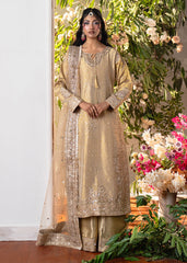 Haseens | Naira Formals | Sakeena