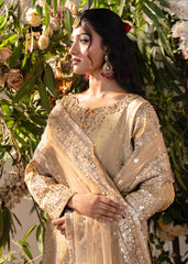 Haseens | Naira Formals | Sakeena