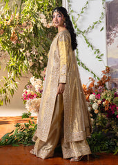 Haseens | Naira Formals | Sakeena