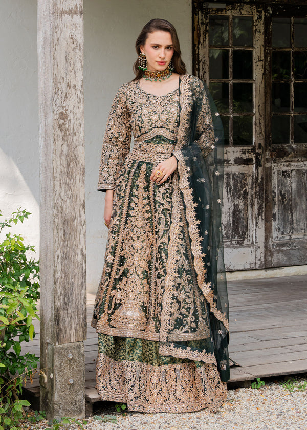 Haseens | Ayra Formals | Malaak