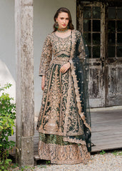 Haseens | Ayra Formals | Malaak