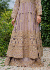 Haseens | Ayra Formals | Samaraa