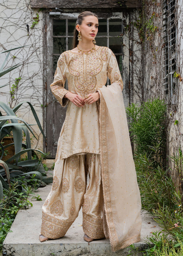 Haseens | Ayra Formals | Noorey