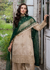 Haseens | Ayra Formals | Alizeh